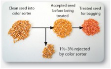 seed-diagram