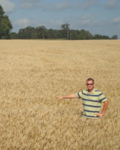 Sabin Srping Wheat