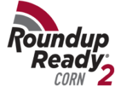 Roundup Ready 2 Corn