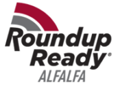 Roundup Ready Alfalfa